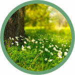 natura